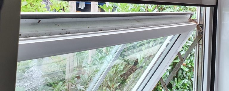 Horrenspeciaalzaak naar buiten openslaand